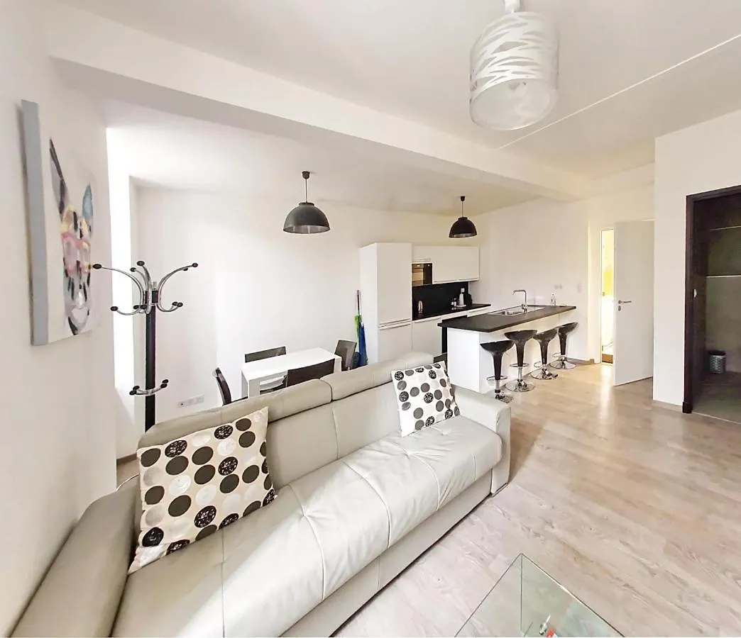 Brand New 2 Bedroom Gambetta Fully Renovated 2021- 5 Mns Palais By Olam Properties Канны